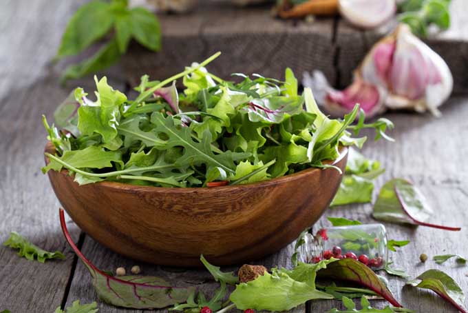 Manfaat Kesehatan Dari Makan Salad
